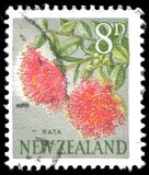 [Local Motifs - Flowers, тип GZ]