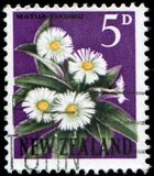 [Local Motifs - Flowers, тип GX]