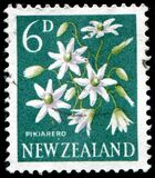 [Local Motifs - Flowers, тип GY]