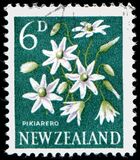 [Local Motifs - Flowers, тип GY]