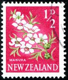 [Local Motifs - Flowers, тип GR]