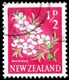 [Local Motifs - Flowers, тип GR]