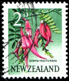 [Local Motifs - Flowers, тип GT]