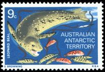 [Marine Life and Aircraft in the Service of Antarctic Research, type AA]