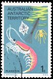 [Marine Life and Aircraft in the Service of Antarctic Research, type W]