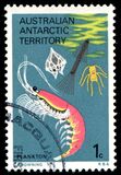 [Marine Life and Aircraft in the Service of Antarctic Research, type W]