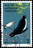 [Marine Life and Aircraft in the Service of Antarctic Research, type Y]