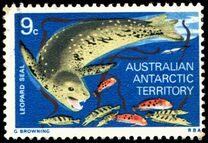 [Marine Life and Aircraft in the Service of Antarctic Research, type AA]
