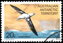 [Marine Life and Aircraft in the Service of Antarctic Research, type AC]
