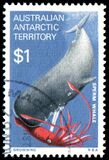 [Marine Life and Aircraft in the Service of Antarctic Research, type AH]