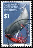 [Marine Life and Aircraft in the Service of Antarctic Research, type AH]