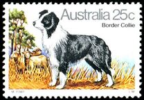 [Dogs, type TS]