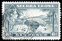 [King George VI - Rice Harvest, ประเภท AE5]