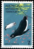 [Marine Life and Aircraft in the Service of Antarctic Research, type Y]