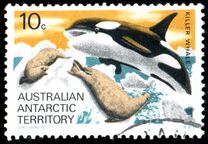 [Marine Life and Aircraft in the Service of Antarctic Research, type AB]