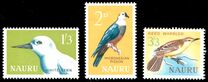 [Birds, type T]