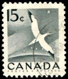 [National Wildlife Week, type GR]
