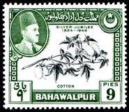 [The 25th Anniversary of the Reign of Sadeq Mohammad Khan V, тып N]