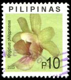 [Orchids, տեսակ GVP]