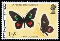 [Butterflies of Belize, type I]