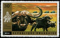 [Akagera National Park, тип MD]