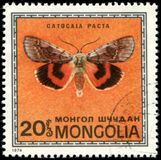 [Butterflies, tyyppi ACZ]