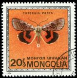 [Butterflies, tyyppi ACZ]