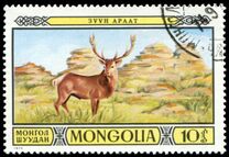 [Games Reserves - Fauna, type AFA]