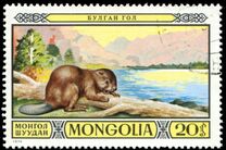 [Games Reserves - Fauna, type AFB]