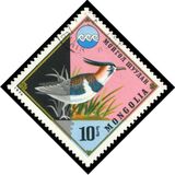 [Environmental Protection, type AFO]
