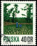 [Forestry, type BJV]