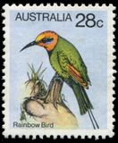 [Birds, tip TX]