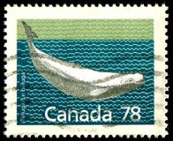[Canadian Mammals, type AOK]