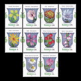 [Definitives - Medicinal Plants, type LSD]