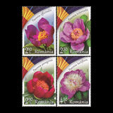 [Peony - The National Flower of Romania, Tip LUM]
