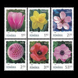 [Flowers, 유형 KZN]