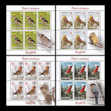 [Fauna- Birds, type JYI]