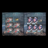 [The 60th Anniversary of the First Man in Space and the 40th Anniversary of the First Romanian in Space, 类型 LHU]