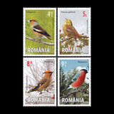 [Fauna- Birds, type JYI]