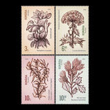 [Invasive Species, type LOV]