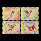 [Hummingbirds, tegund LPP]