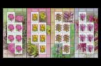 [Endemic Plants from the Carpathian Mountains, type LQE]