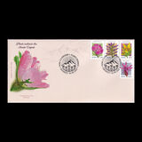 [Endemic Plants from the Carpathian Mountains, type LQE]