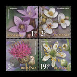 [Flora from National Reserves, tegund LGW]