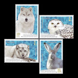 [Fauna - Polar Animals, tip LAC]