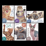 [Fauna - Cats, tip LAG]