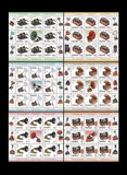 [Phonograph Collections, type LAP]