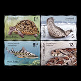 [Fauna - Leopard-type Animals, type LCO]