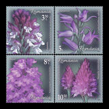 [Flowers - Orchids, type LDC]