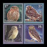 [Birds - Little Owls, type LDG]